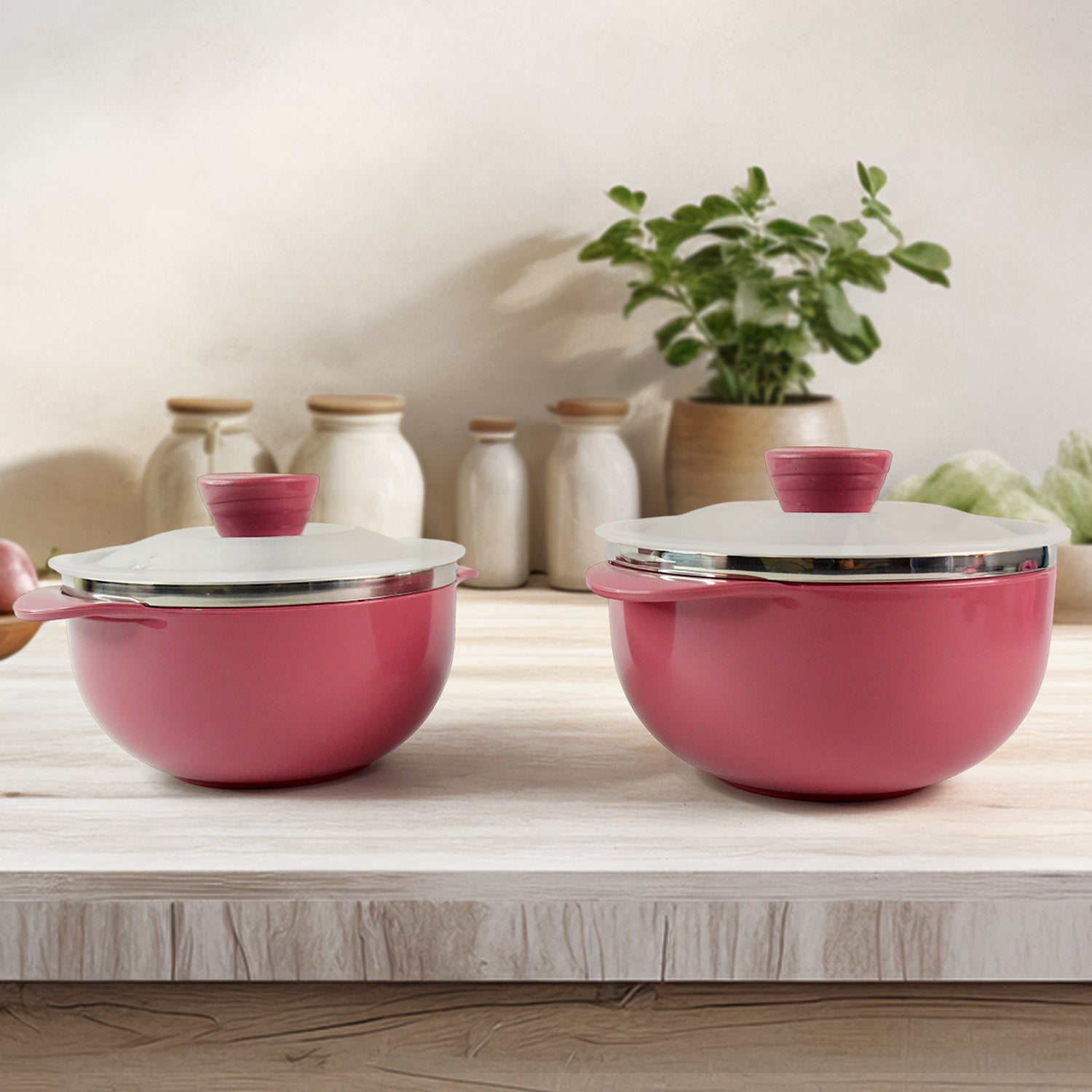 Apex Premium Plastic Serving Bowl Set With Lids (2 Pc)